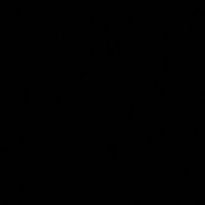 Meet your Posher, Jesus